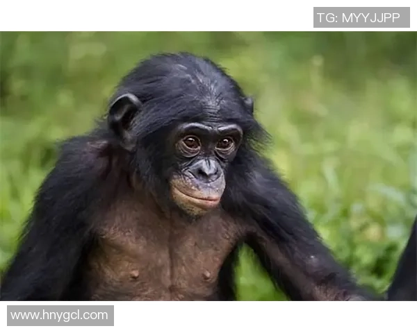 足球明星与他的黑人妻子共同书写的爱情传奇与家庭生活 足球明星与他的黑人妻子共同书写的爱情传奇与家庭生活